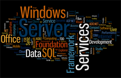 Windows server database web design develop programming